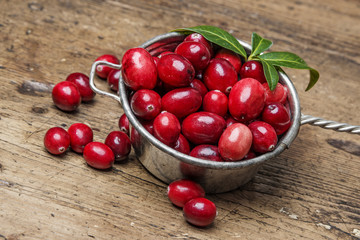 fresh cranberries on a kitchen table