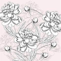 Background with black and white peony. Vector illustration