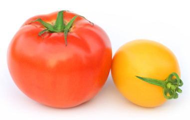 Ripe tomatoes of two colors