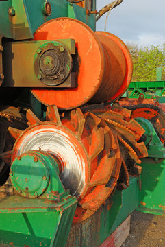 DeBarker Feed