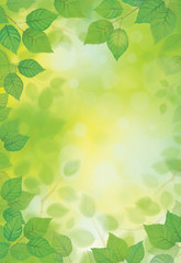 Vector green leaves branches on sunshine background.