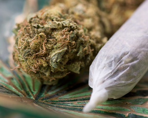 marijuana