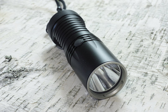 led flashlight laying on birch bark