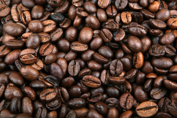Coffee Beans Background