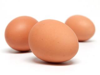 Eier
