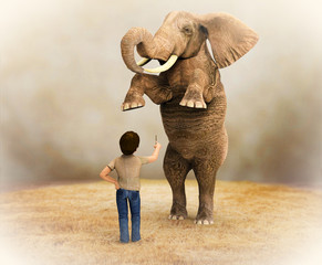 Elefante adiestrado © Giovanni Cancemi