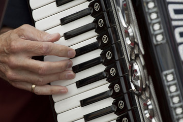 I Play a musical instrument accordion with my fingers.