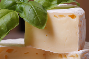 brie cheese on old wooden table with green basil macro