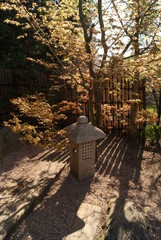 ogród japoński © lajdaczysko