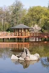 ogród japoński © lajdaczysko