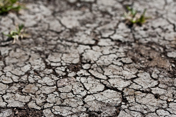 Dry land