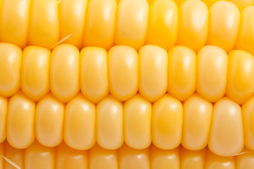 Corn