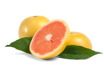 Fruit