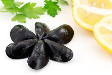 cozze