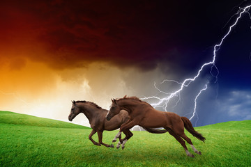 Two horses, lightning storm