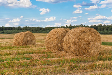 Fototapeta premium Straw bales.