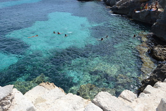 Mare