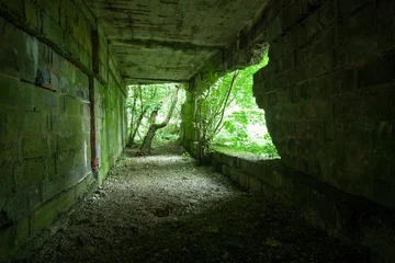 Photo sur Plexiglas Rudnes Ancien bunker en ruine - base V1