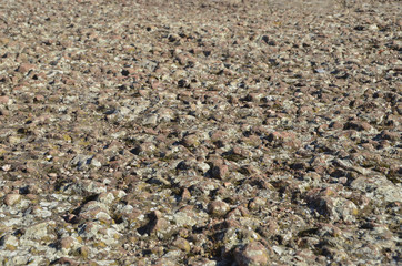 stone ground