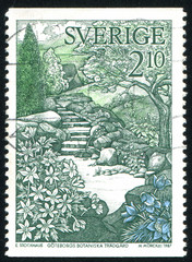 White anemones and rock garden in Gothenberg botanical gardens