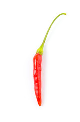 Pepper chilli