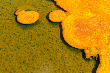 Microbial mats in geothermal pools, Yellowstone National Park ,W