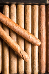 Wooden humidor full of cigars