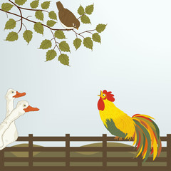 A cock on the fence with  gooses