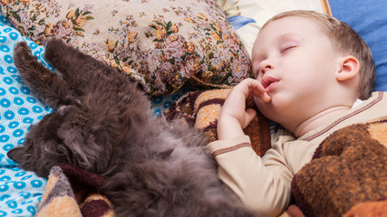 Boy sleeps with cat