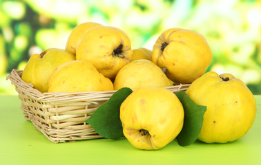 Sweet quinces in wicker basket on table on bright background