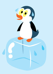 penguin on ice cube sweating