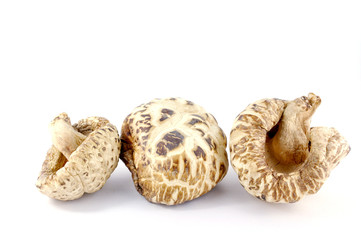 Shitake Mushrooms