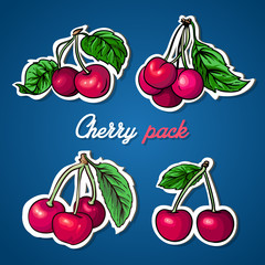 Cherry vector pack. Ripe cherry with leafs