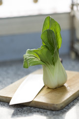 Chinese Vegetable cabbage in kitchen