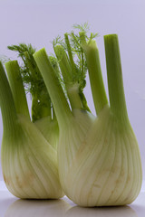 Fennel on a white background .