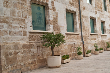 Fototapeta na wymiar Historyczne budynki z koronką w Walencji, Hiszpania