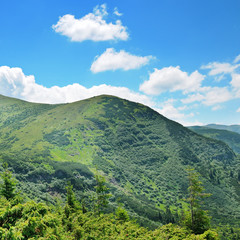 mountains covered trees and blue sky