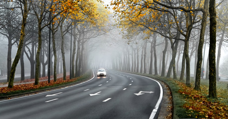 Cars on the road in the fog.