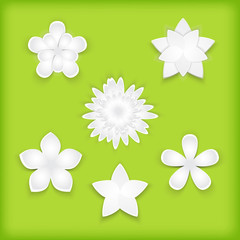 Fototapeta premium Paper flowers green