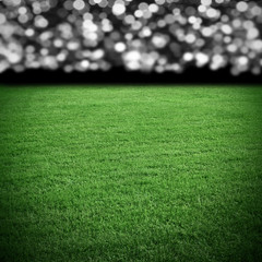 Grass field at arena