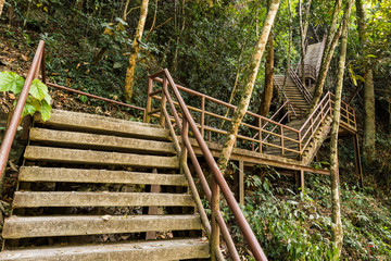 Concrete Staircase in forest