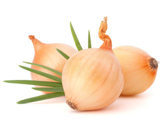 Onion vegetable