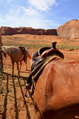 selle de cheval à Monument Valley, Arizona