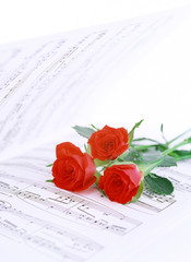 music score and roses