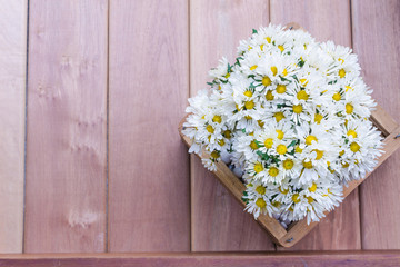 Obraz premium White flowers on wooden background