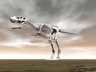 Tyrannosaurus rex skeleton - 3D render © Elenarts