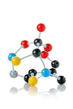 Biological Model Of A Protein Molecule