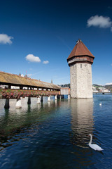 Lucern