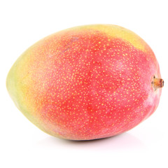 Mango fruit on a white background