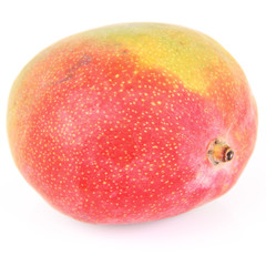 Mango fruit on a white background